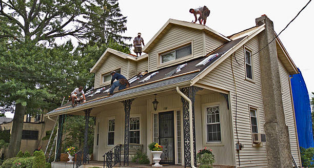 Best Commercial Roof Installation  in Archie, MO