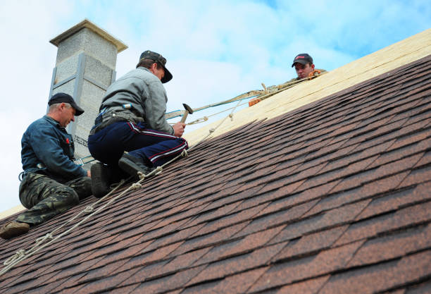 Best Storm Damage Roof Repair  in Archie, MO
